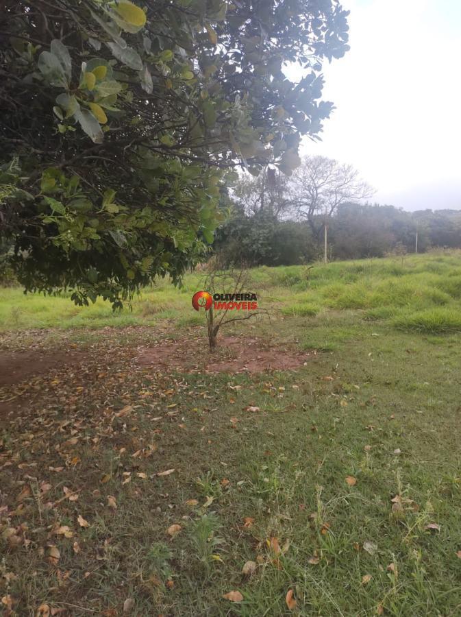 imagem-miniatura