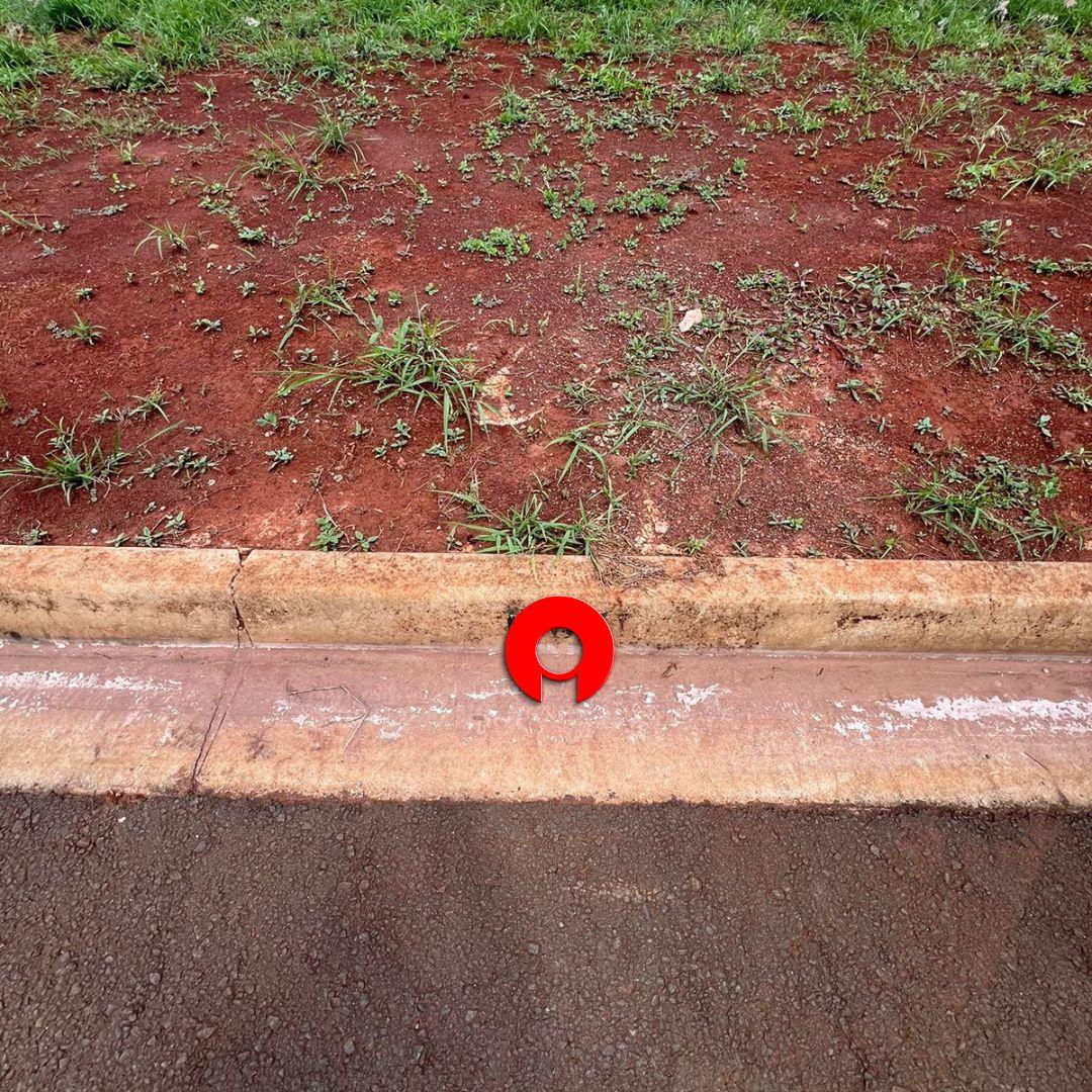 imagem-miniatura