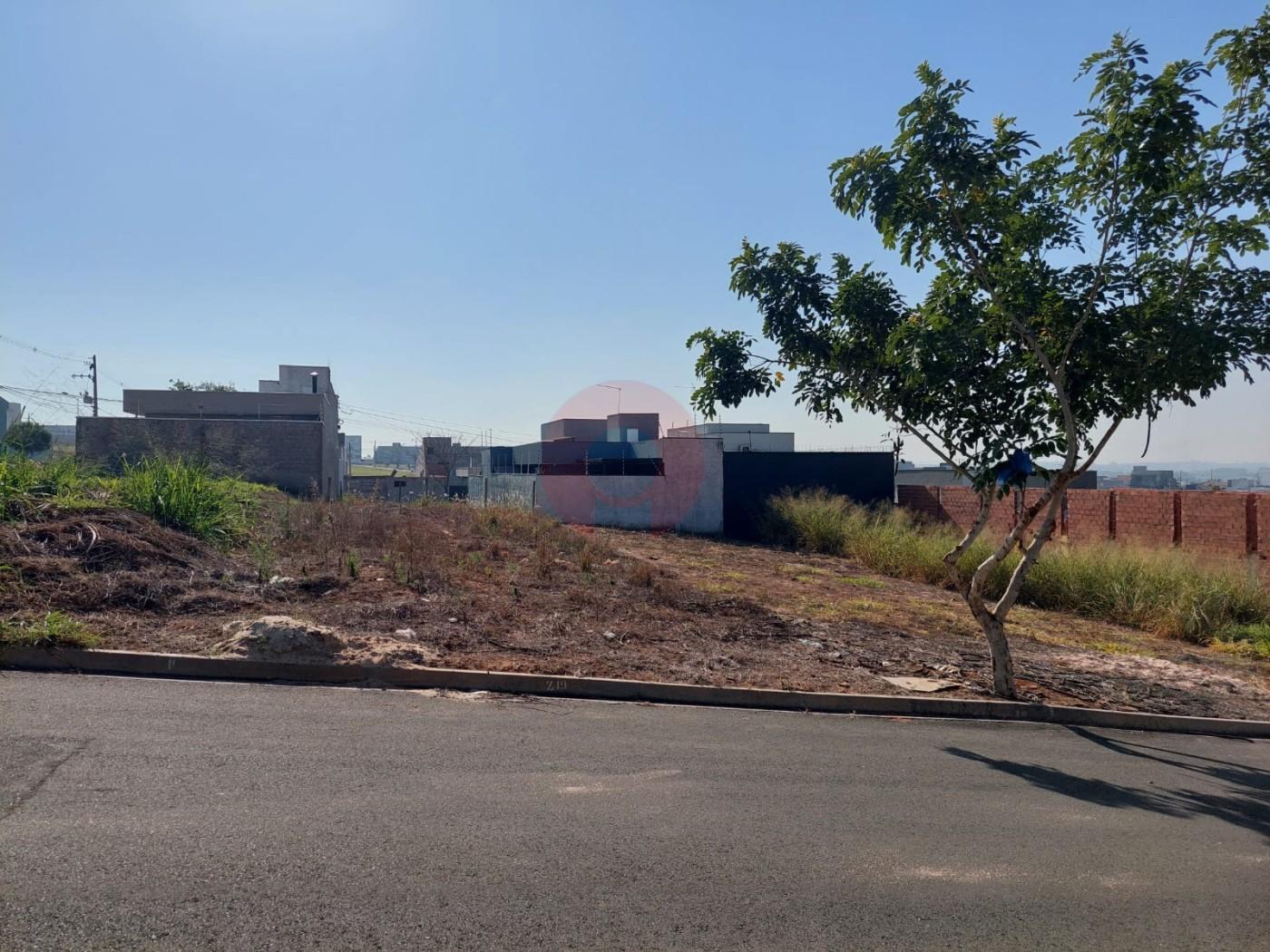 imagem-miniatura