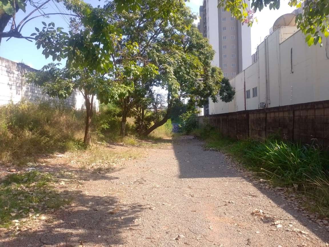 imagem-miniatura