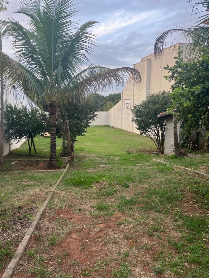 imagem-miniatura