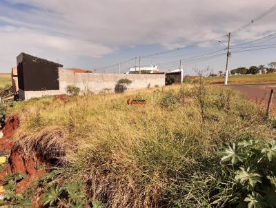 Terreno para Venda na cidade de Iracem&aacute;polis no bairro Jardim Alvorada