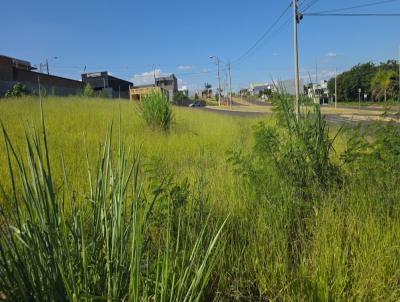 Terreno para Venda, em , bairro Jardim Marajoara