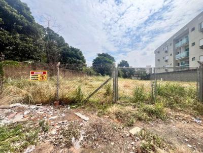 Terreno para Venda, em Limeira, bairro Ch�caras Antonieta
